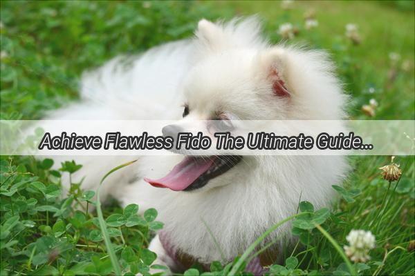 Achieve Flawless Fido The Ultimate Guide to Grooming Your Dogs Waist Cincher for a Showstopper Look